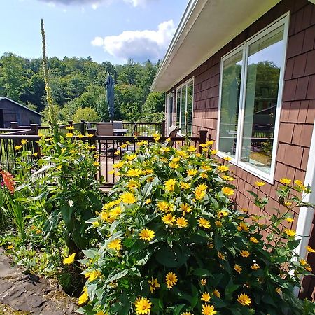 Spacious Country Retreat Close To Town And Nature, Sylvana Farm Vt モントピリア エクステリア 写真