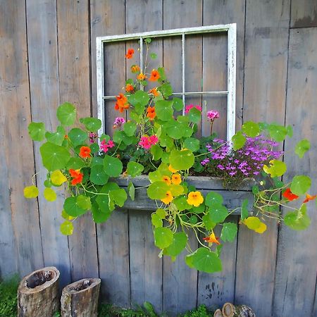 Spacious Country Retreat Close To Town And Nature, Sylvana Farm Vt モントピリア エクステリア 写真