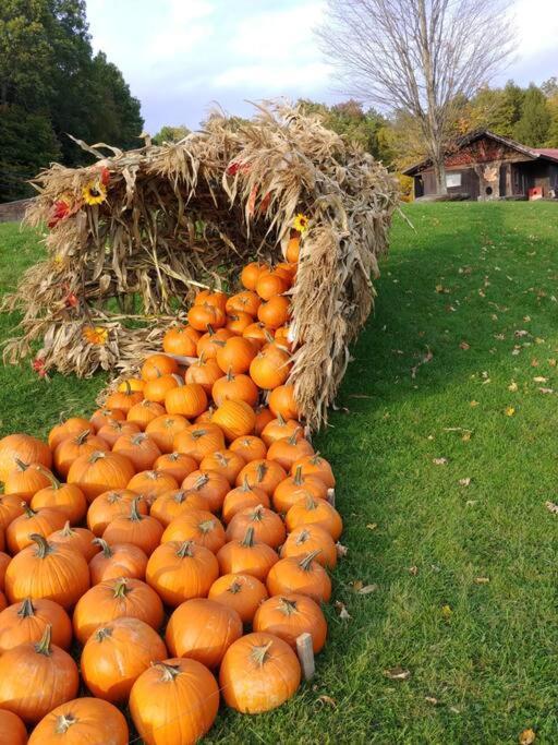 Spacious Country Retreat Close To Town And Nature, Sylvana Farm Vt モントピリア エクステリア 写真