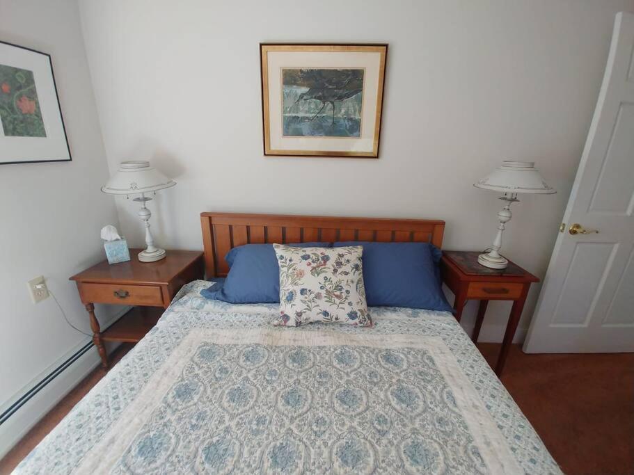 Spacious Country Retreat Close To Town And Nature, Sylvana Farm Vt モントピリア エクステリア 写真