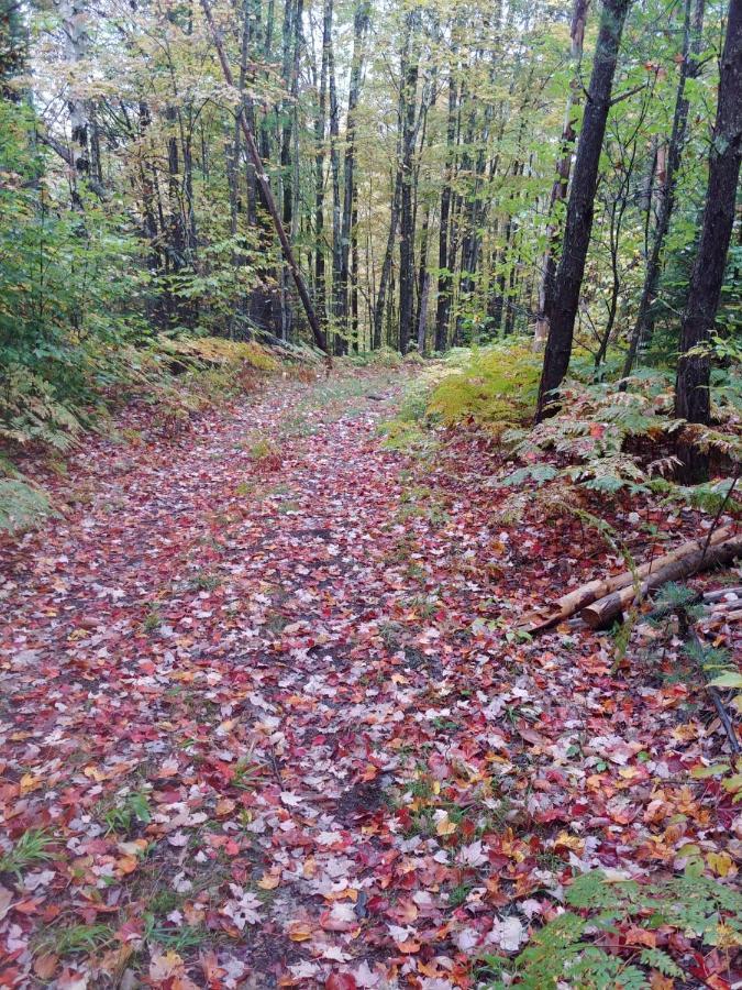 Spacious Country Retreat Close To Town And Nature, Sylvana Farm Vt モントピリア エクステリア 写真
