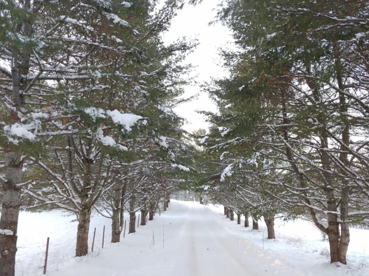 Spacious Country Retreat Close To Town And Nature, Sylvana Farm Vt モントピリア エクステリア 写真