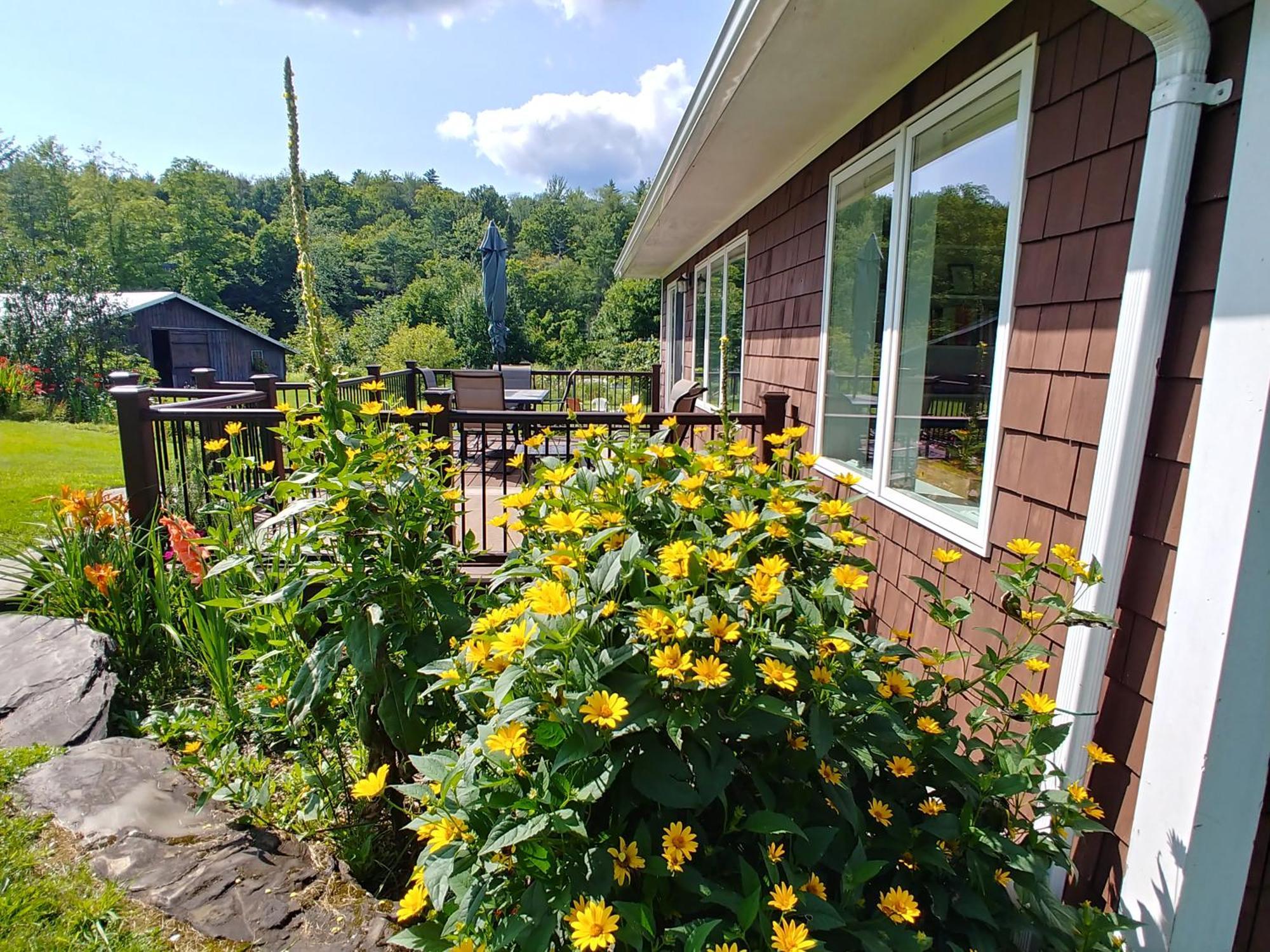 Spacious Country Retreat Close To Town And Nature, Sylvana Farm Vt モントピリア エクステリア 写真