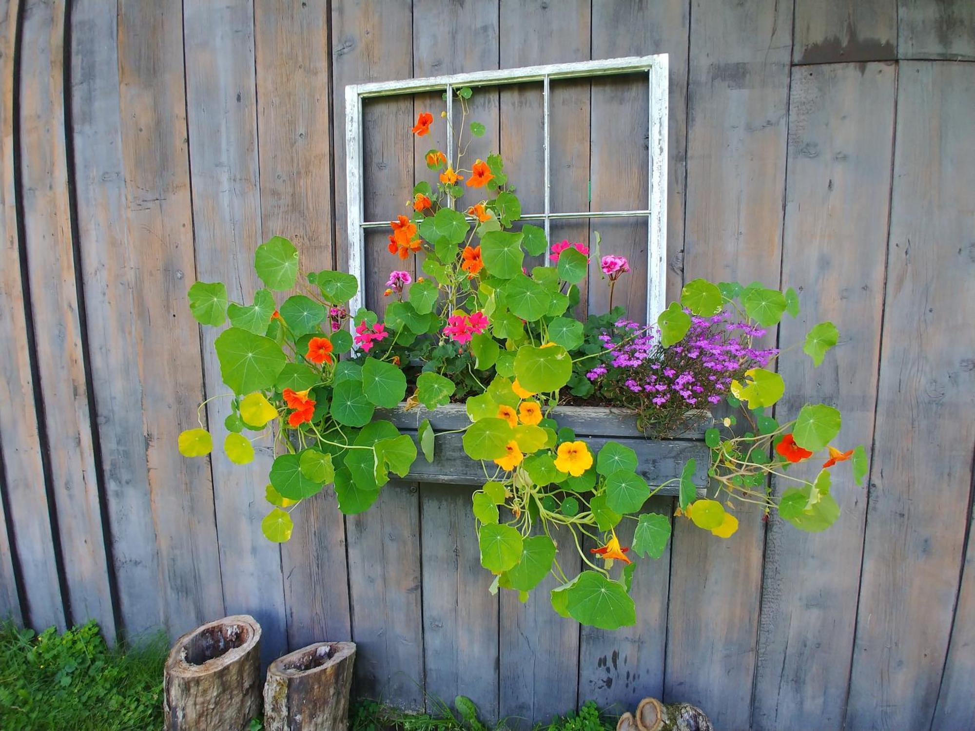 Spacious Country Retreat Close To Town And Nature, Sylvana Farm Vt モントピリア エクステリア 写真