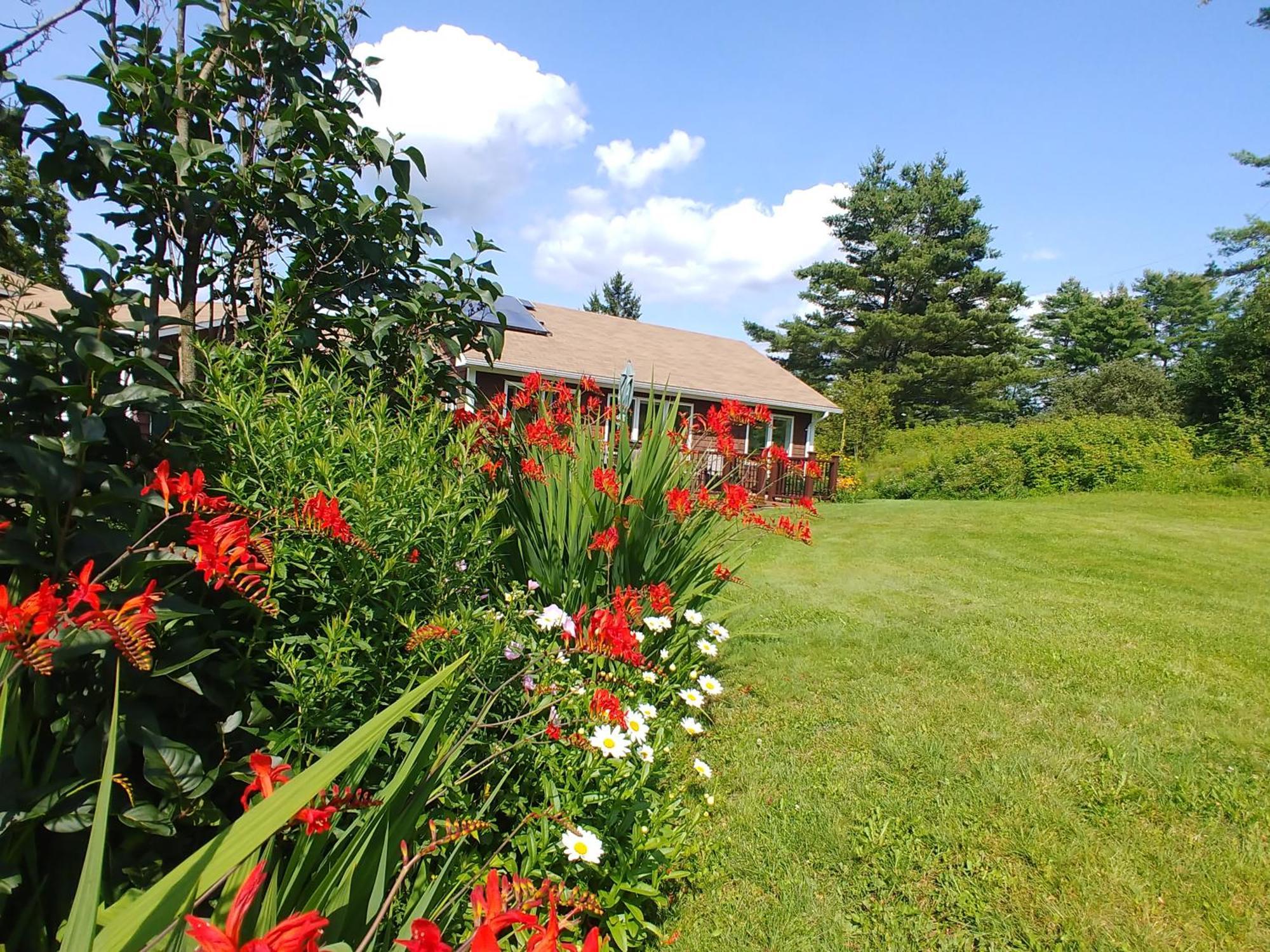 Spacious Country Retreat Close To Town And Nature, Sylvana Farm Vt モントピリア エクステリア 写真